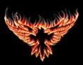 /album/galeria-de-fotos/a158-jpg/